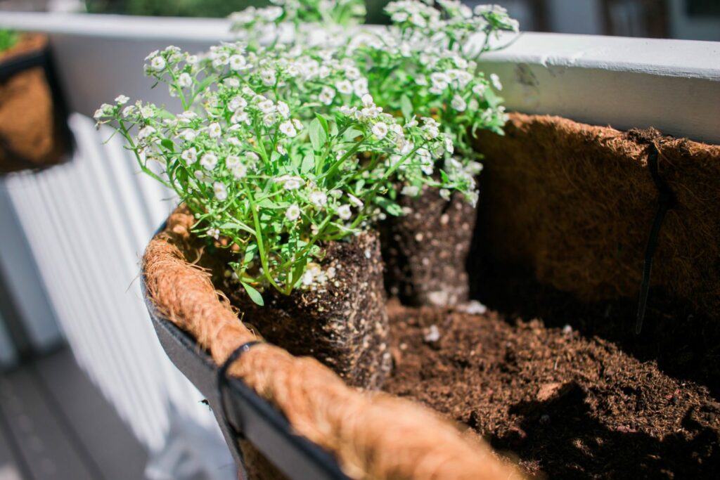 DIY Back Porch Garden that takes up little space but looks wonderful and adds so much life! Perfect for apartment, condo, and town home living! I love growing your own herbs! 