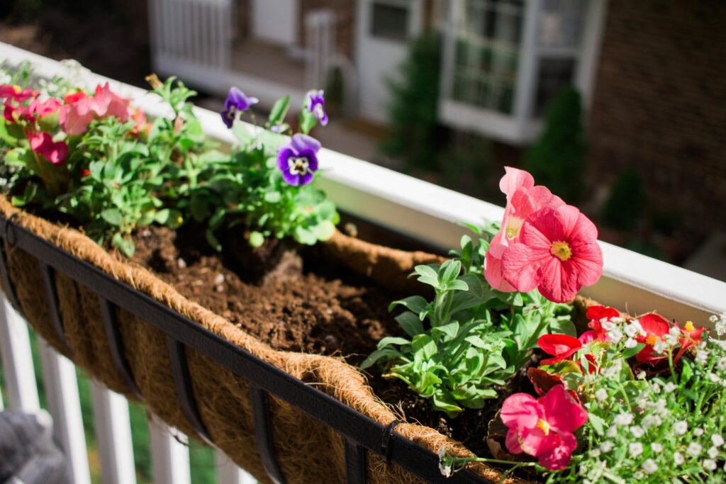 DIY Back Porch Garden that takes up little space but looks wonderful and adds so much life! Perfect for apartment, condo, and town home living! I love growing your own herbs! 