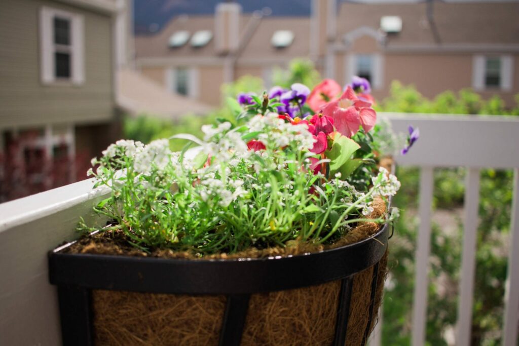 DIY Back Porch Garden that takes up little space but looks wonderful and adds so much life! Perfect for apartment, condo, and town home living! I love growing your own herbs! 