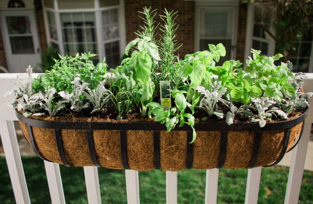 DIY Back Porch Garden that takes up little space but looks wonderful and adds so much life! Perfect for apartment, condo, and town home living! I love growing your own herbs! 