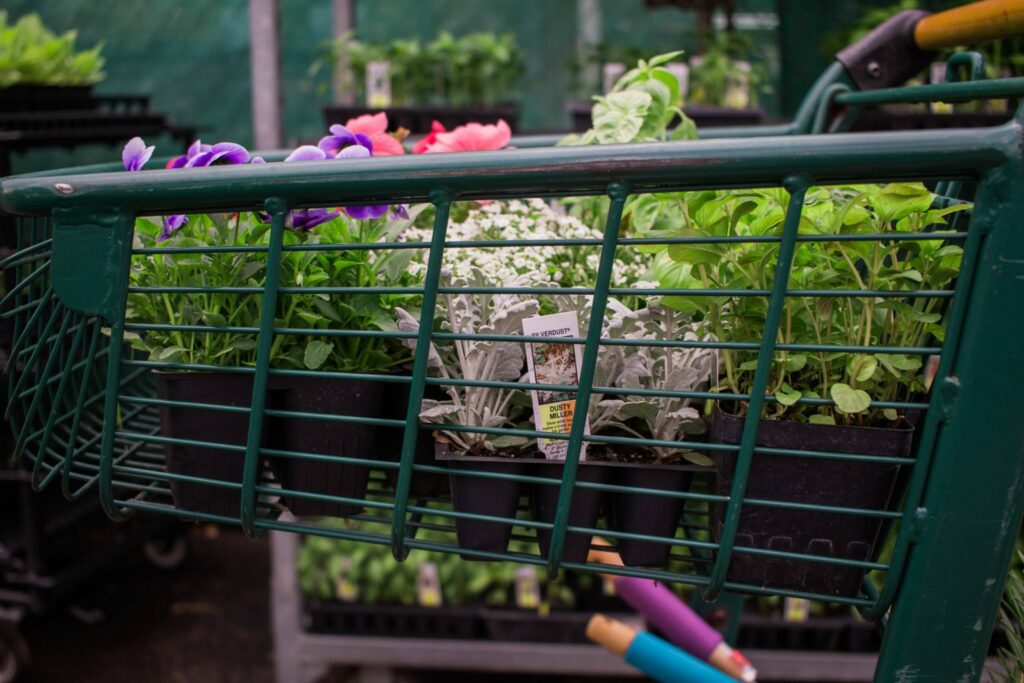 DIY Back Porch Garden that takes up little space but looks wonderful and adds so much life! Perfect for apartment, condo, and town home living! I love growing your own herbs! 