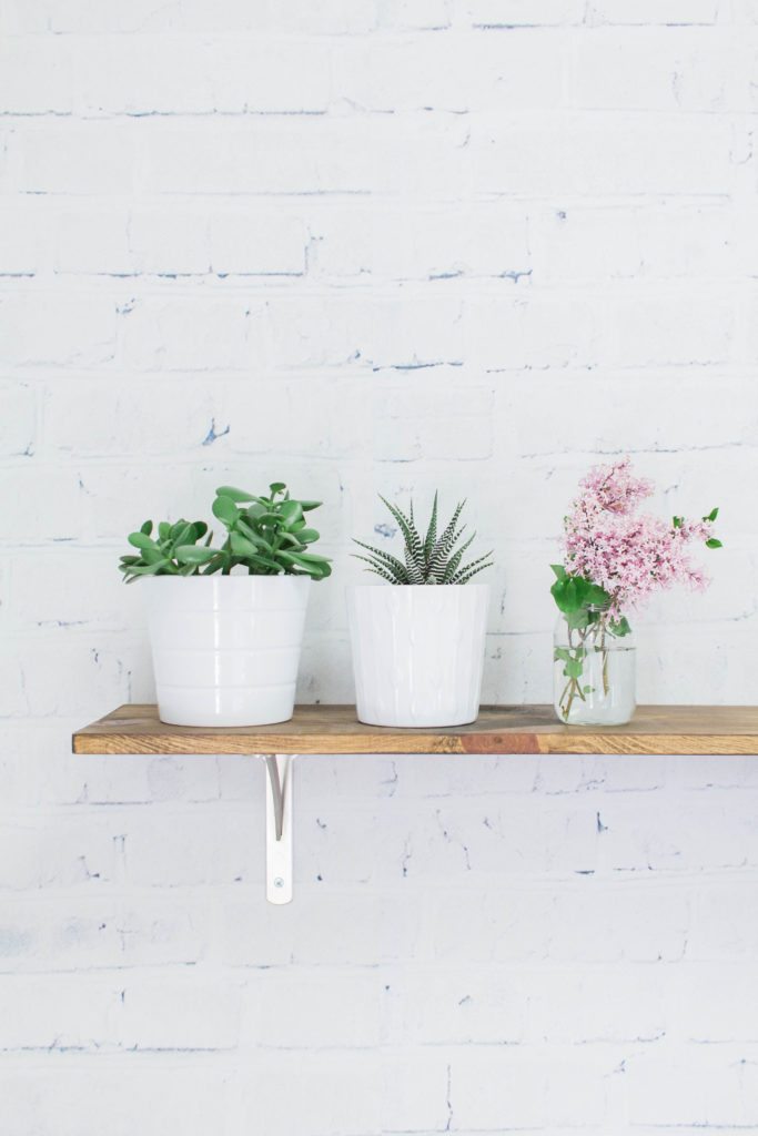 Fresh Flowers