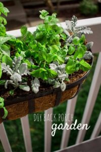 DIY Back Porch Garden that takes up little space but looks wonderful and adds so much life! Perfect for apartment, condo, and town home living! I love growing your own herbs!
