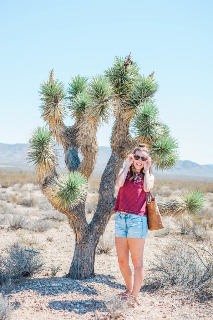 Love this fun neon desert style! That top is so perfect for hot summer! location: seven magic mountains Love this fun neon desert style! That top is so perfect for hot summer! location: seven magic mountains