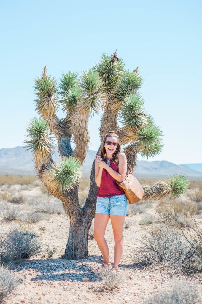 Love this fun neon desert style! That top is so perfect for hot summer! location: seven magic mountains Love this fun neon desert style! That top is so perfect for hot summer! location: seven magic mountains
