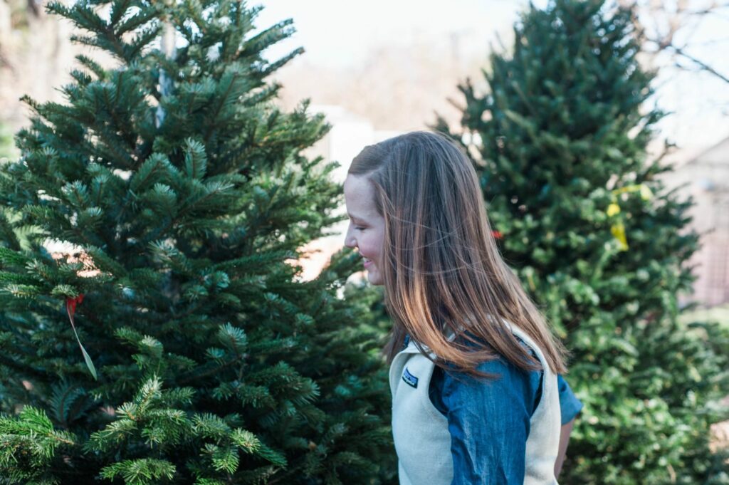 Picking out your Christmas Tree 