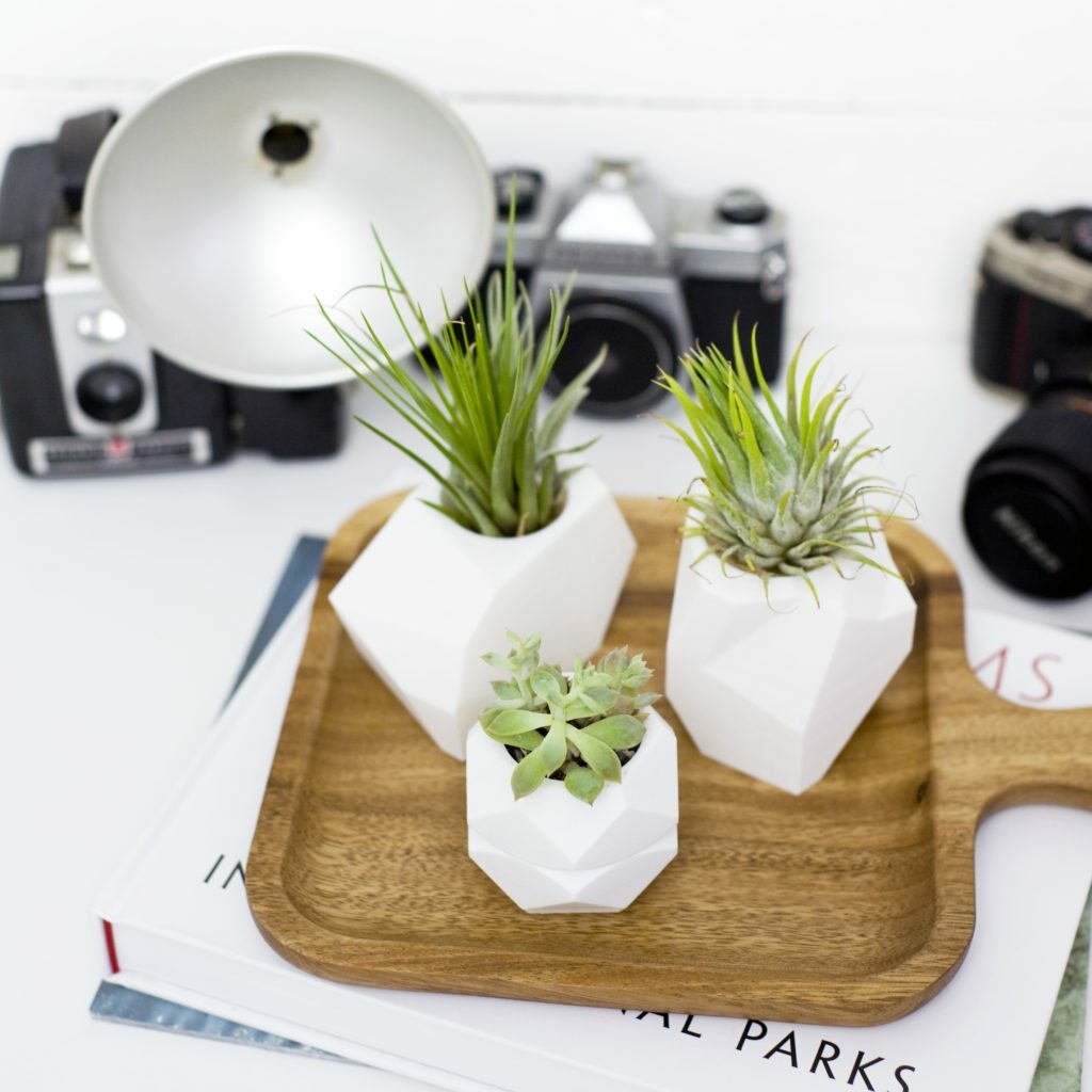 Shop Oak + Oats - Modern Mini planters for Air Plants and Mini Succulents