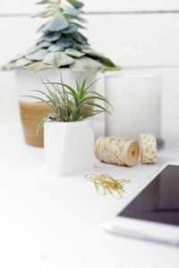 Shop Oak + Oats - Modern Mini planters for Air Plants and Mini Succulents