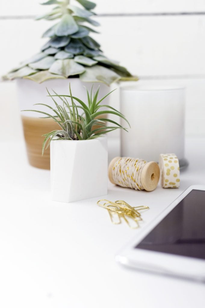 Shop Oak + Oats - Modern Mini planters for Air Plants and Mini Succulents