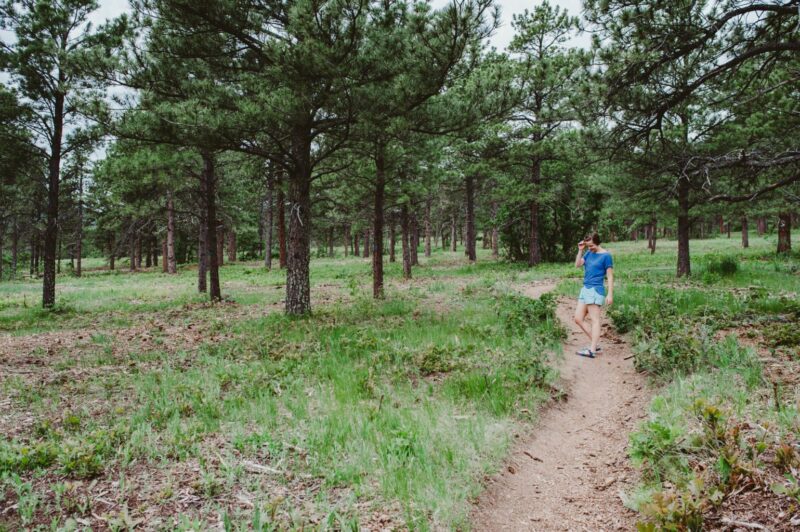 Hiking in Stratton Open Space Oak + Oats