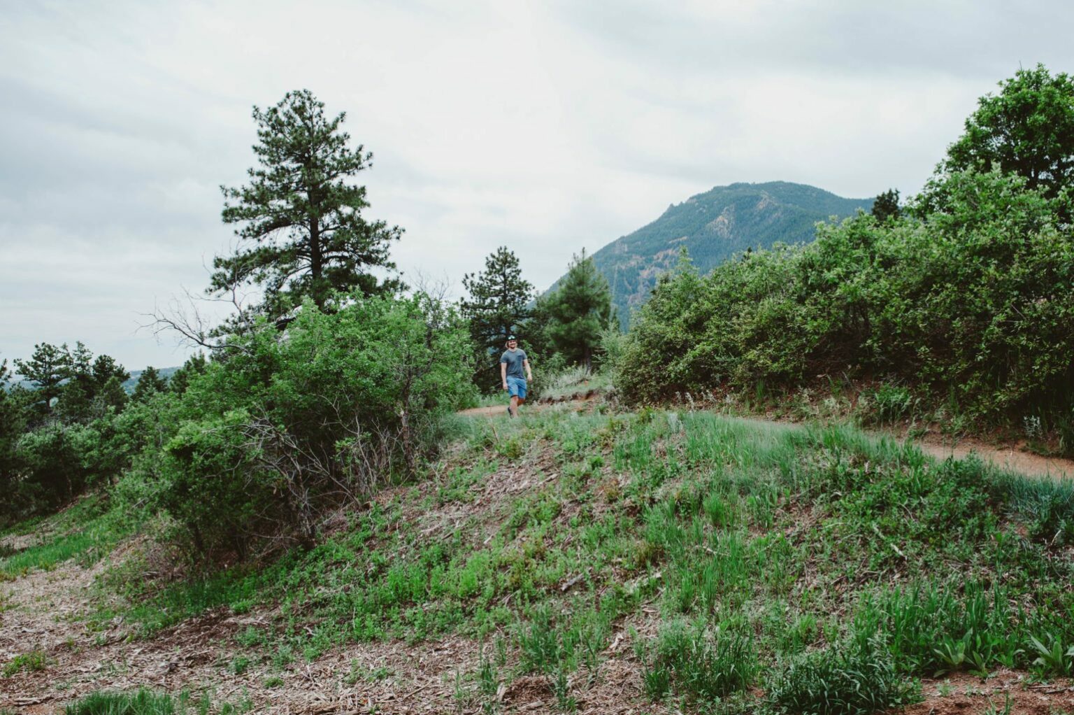 Hiking in Stratton Open Space Oak + Oats