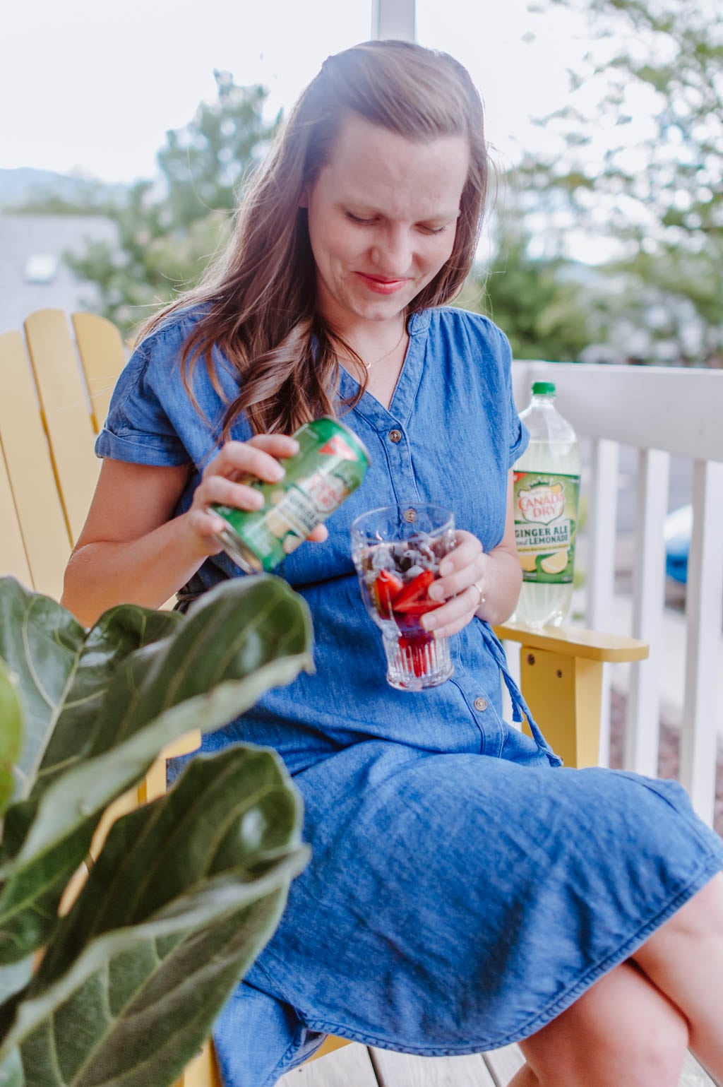 Canada Dry Drink With Frozen Fruit Ice Cubes