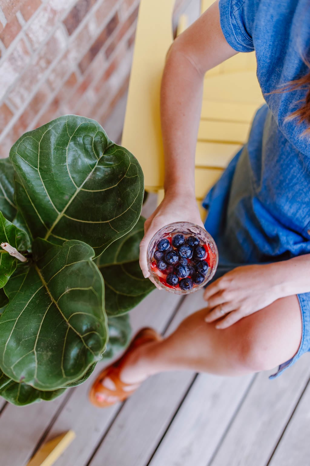 DIY Frozen Fruit Ice Cubes