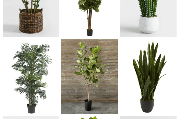 The Best Faux House Plants
