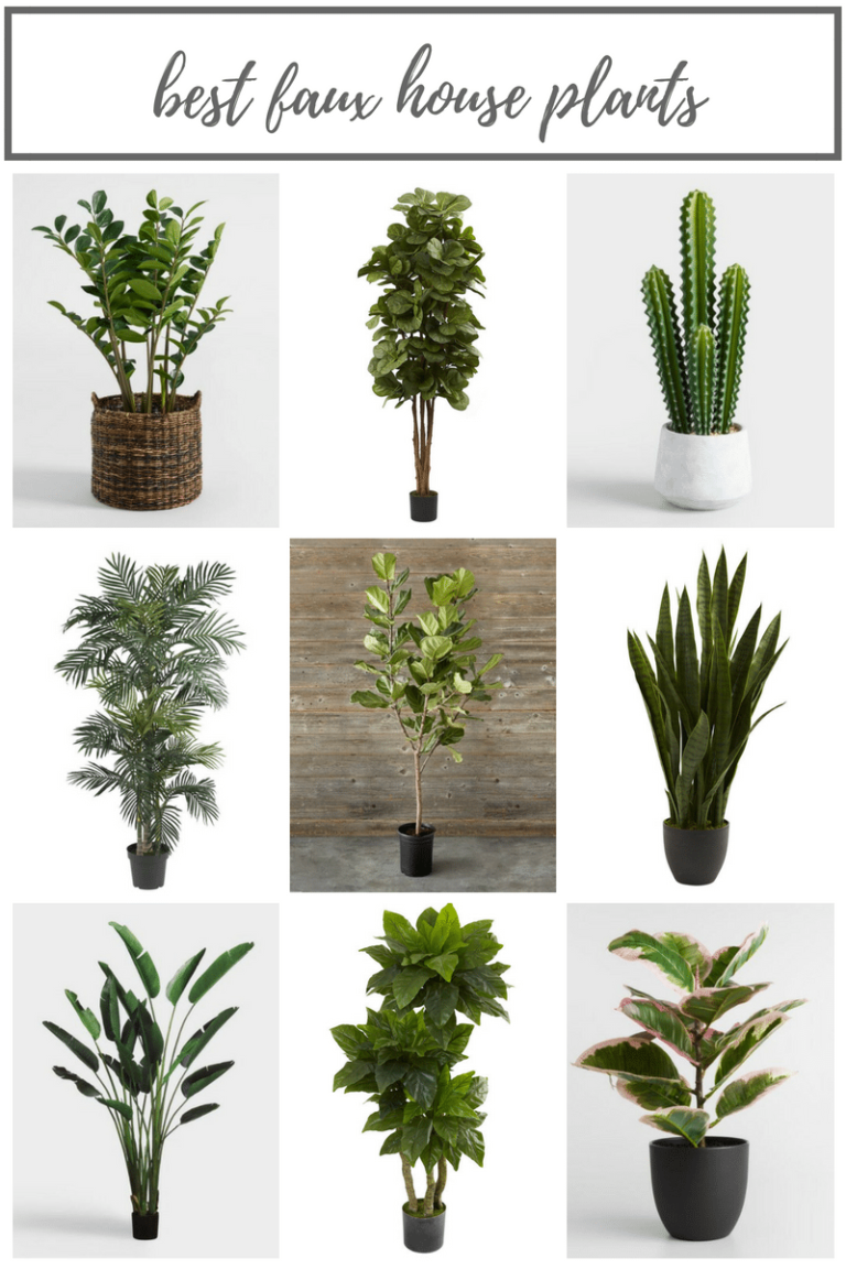 The Best Faux House Plants