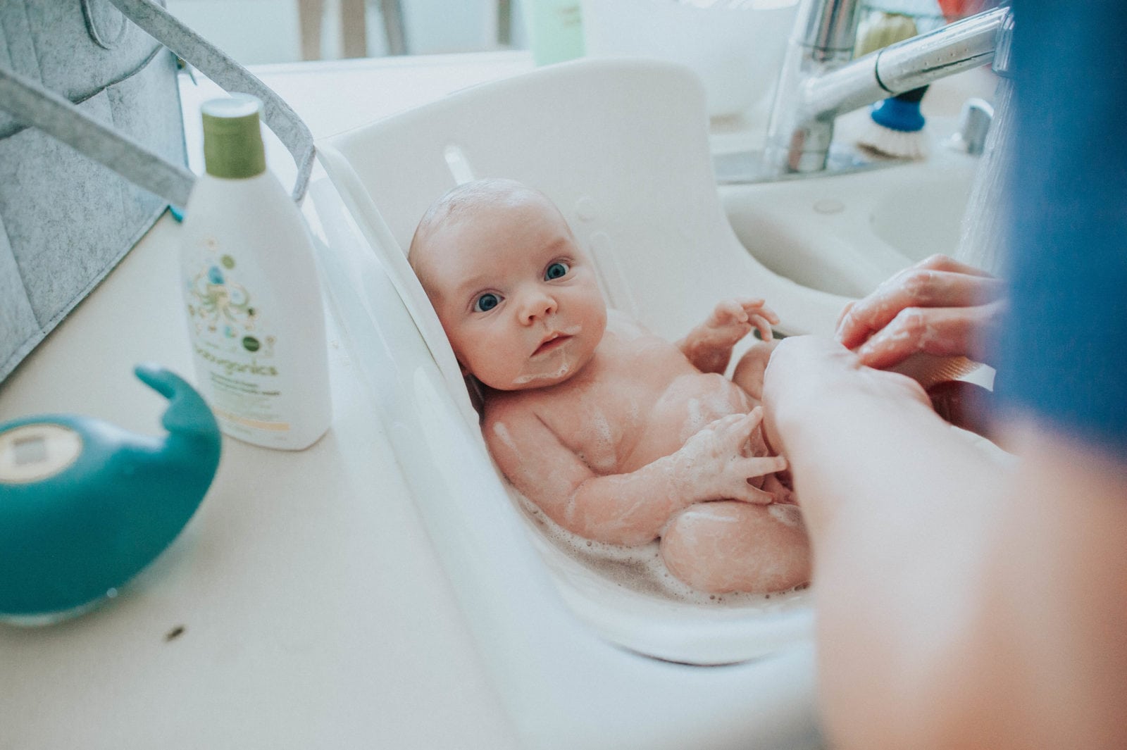 Hilde's First Bath - Oak + Oats