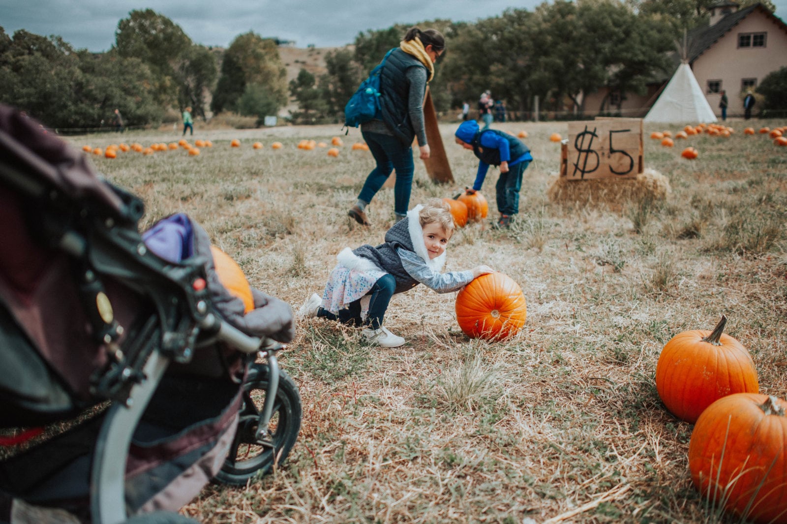 The Pumpkin Patch