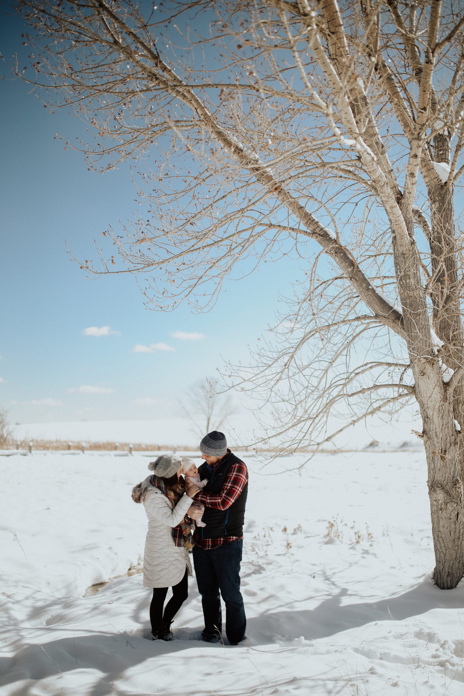 Great Family Holiday Photos