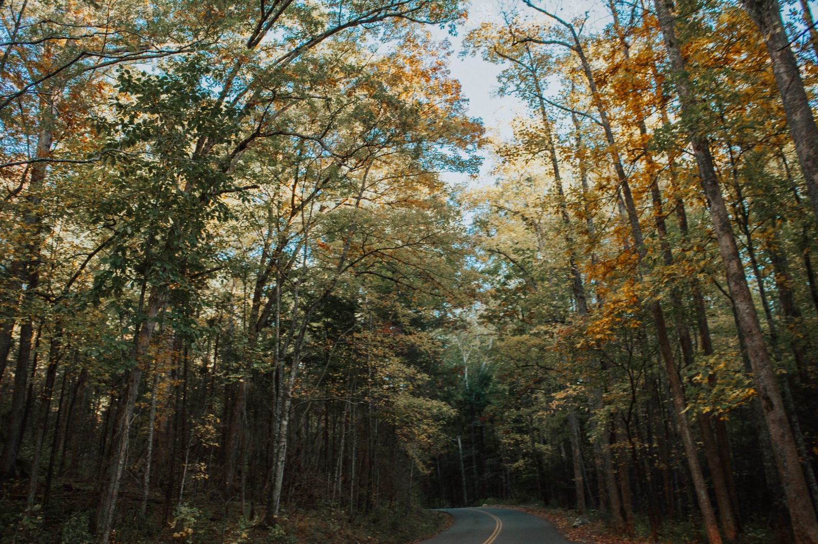 DAY TWO ITINERARY Ober Gatlinburg Lunch at No Way Jose's Roaring Fork Motor Nature Trail