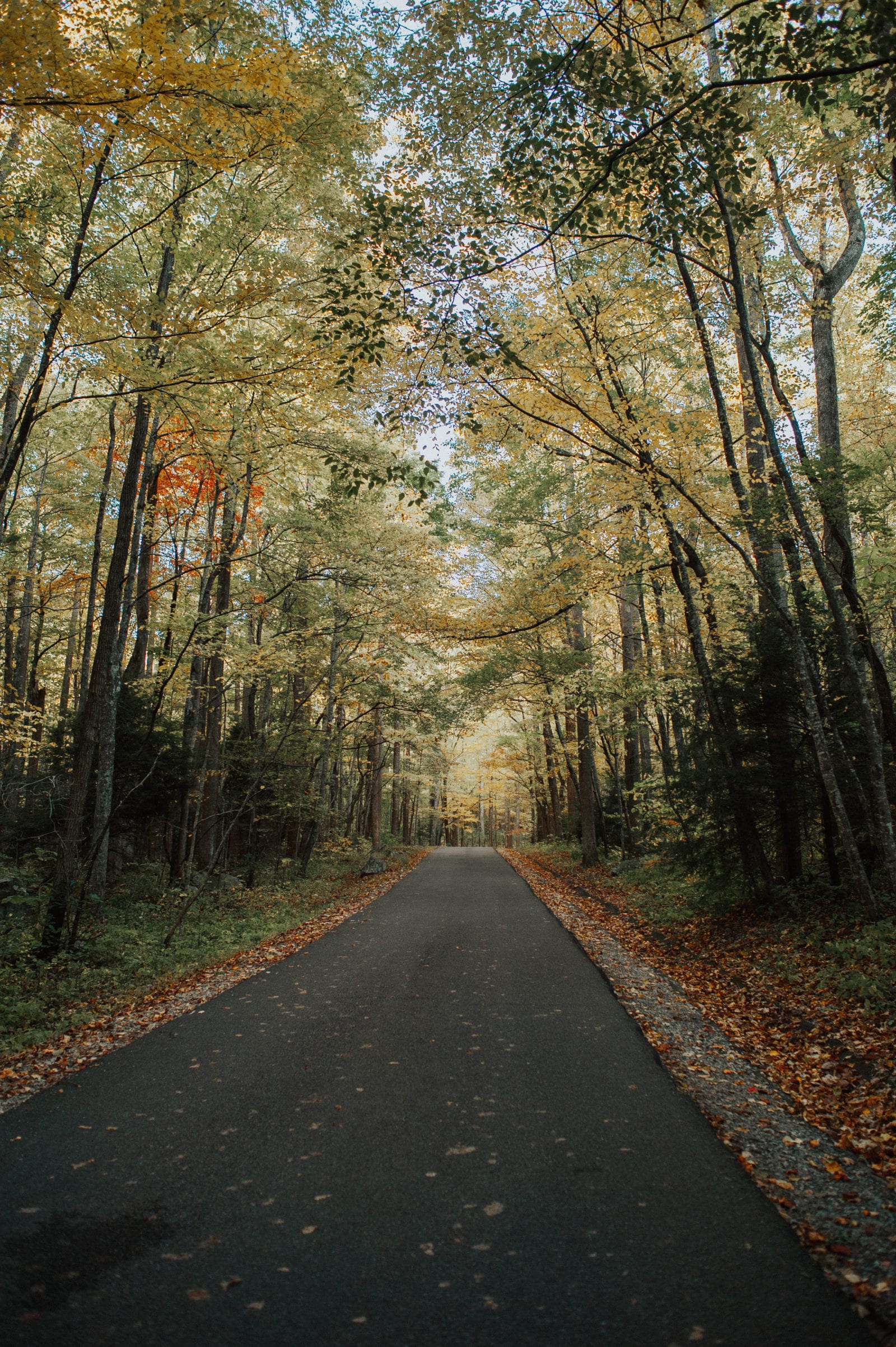 Roaring Fork Motor Nature Trail