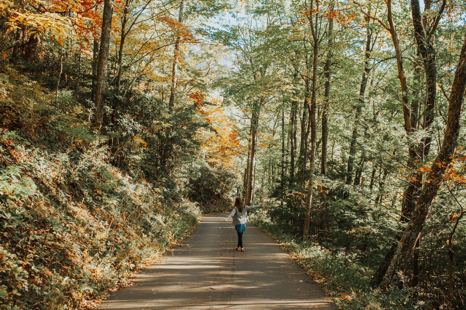 Roaring Fork Motor Nature Trail