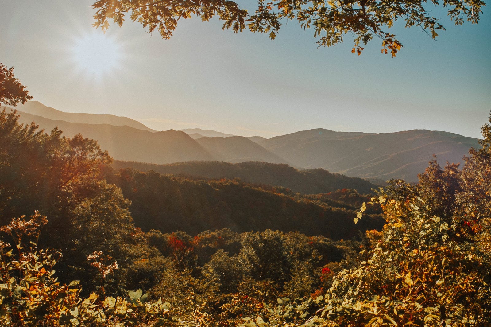 Roaring Fork Motor Nature Trail