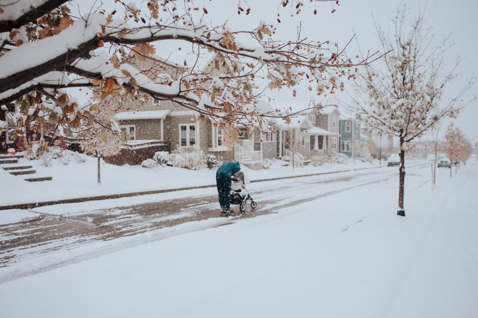 My goal is to get outside whenever it snows and take photos.