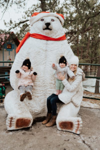 The North Pole