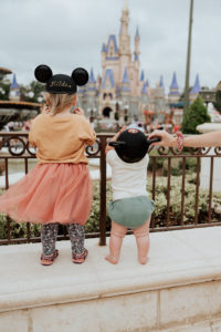 Disneyworld in 2020