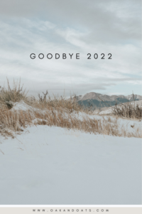 Goodbye 2022: Looking Back