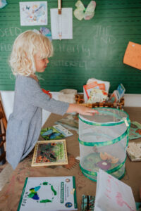 Homeschool: The Preschool + Kindergarten Years