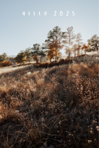Hello 2025: Ring Out, Wild Bells
