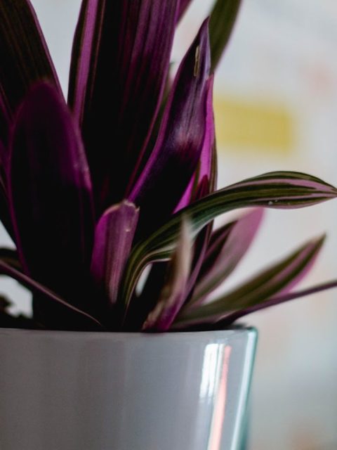 spring_decor-12